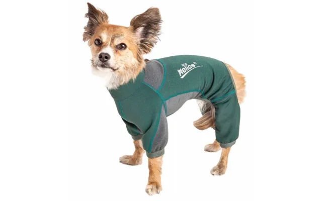 Dog Helios Rufflex Dog Warmup Track Suit - Green & Gray