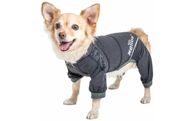Dog Helios 'namastail' Hoodie Tracksuit - Charcoal Black