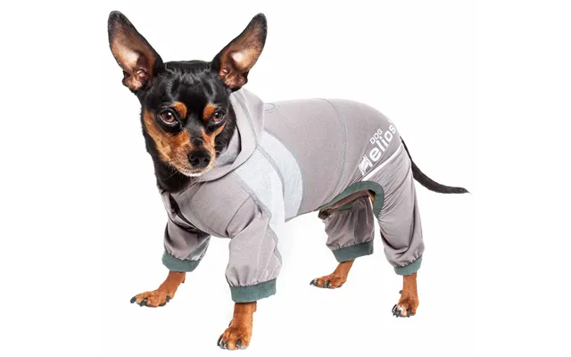 Dog Helios 'namastail' Hoodie Tracksuit - Grey