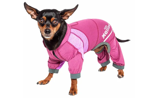 Dog Heliosâ 'namastail' Hoodie Tracksuit - Pink