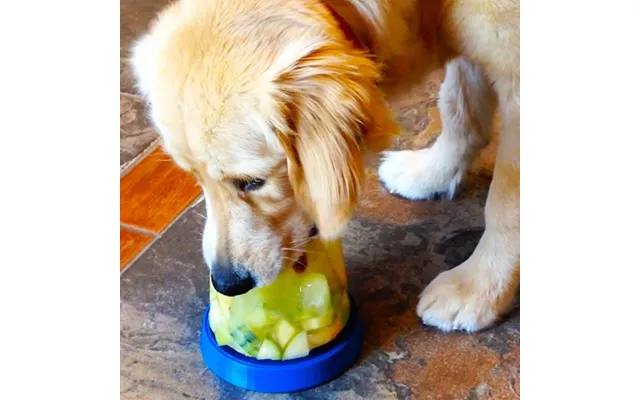Doggie Cone Diy Frozen Dog Treat