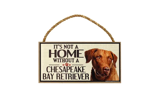 It's Not A Home Without A Dog Sign - Chesapeake Bay Retriever