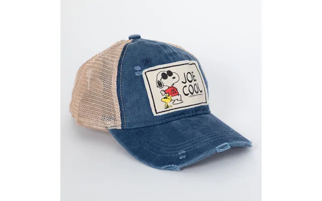 Joe Cool Rustic Trucker Hat