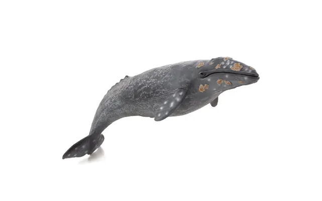 Mojo Fun Gray Whale