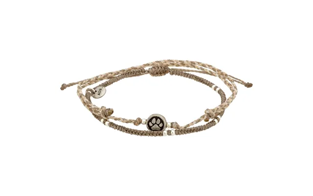 Paw Print Birthstone Anklet Set - April