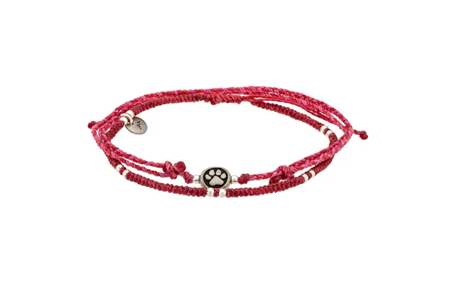 Paw Print Birthstone Anklet Set - January