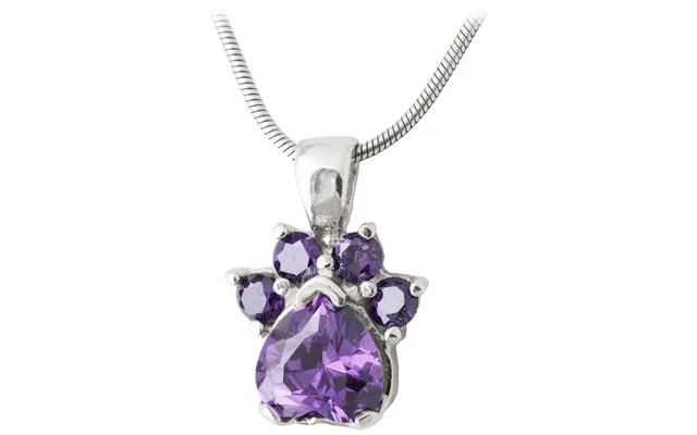 Paw Print Birthstone Sterling Necklace - February