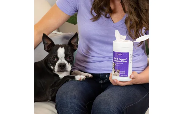 Pawsgive Aloe And Oatmeal Grooming Wipes For Dogs And Cats Pet Wipes