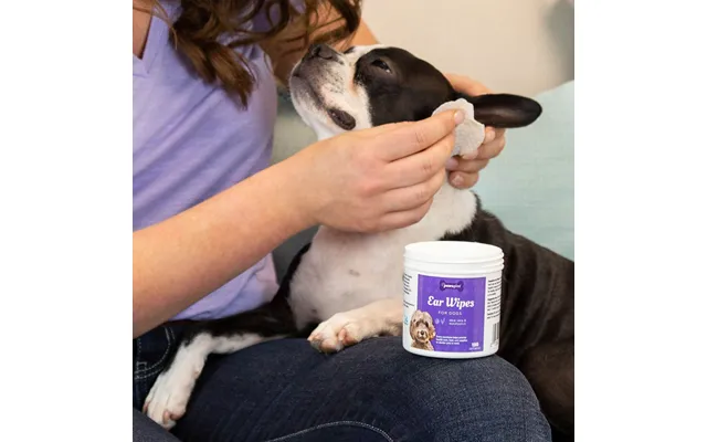 Pawsgive Ear Cleaning Wipes For Dogs Gentle Ear Cleaner For Dogs