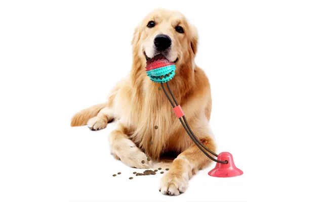 Pet Life Grip N' Play Treat Dispenser Toy - Red White