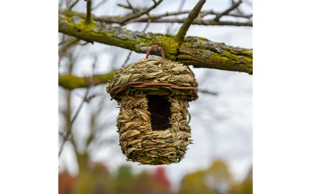 Roosting Pocket Birdhouse 100% Natural Reed Grass - Acorn