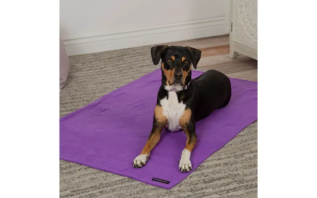 Snuggle Paws Signature Pet Blanket - L