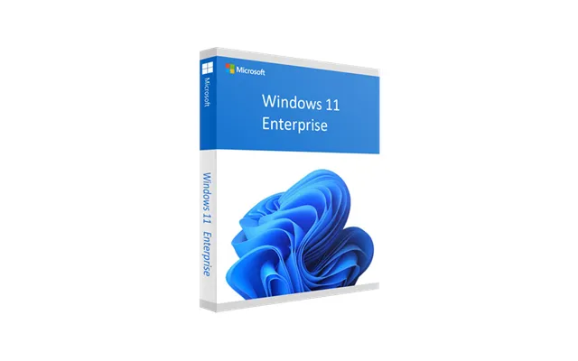 Windows 11 Enterprise 64 Bit - Microsoft License