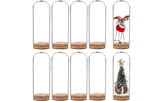 Glass Dome Cloche Cover