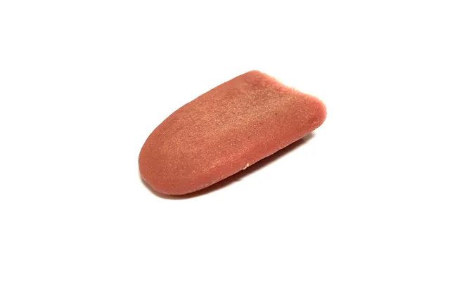 Special Effects Silicone Fake Severed Tongue