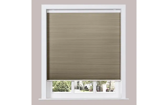 Paola Blackout Cellular Shade Honeycomb Shade Cordless - Brown 341