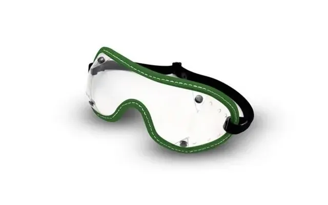 Raleri Trooper Goggles - Green Clear