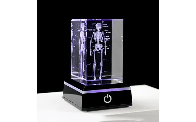 3d Crystal Glass Human Skeleton Anatomical Laser Engraving Cube Paperweight For Study Tool