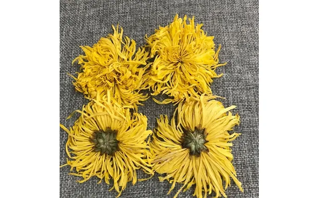 4024 Jin Si Huang Raw Chinese Dried Gold Emperor Chrysanthemum Flower 1kg For Health Tea Bag & Box Packaging