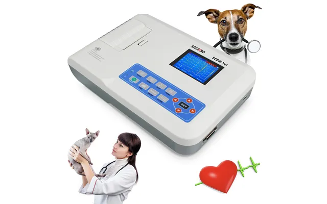 Digital Veterinary Electrocardiograph Machine Portable 3 Channel Ecg Ekg Machine For Animals
