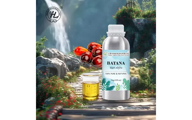 Golden Batana Oil For Hair Growth - 100% Pure Natural Honduras Elaeis Oleifera Kernel Cold Pressed Bulk Price 1kg