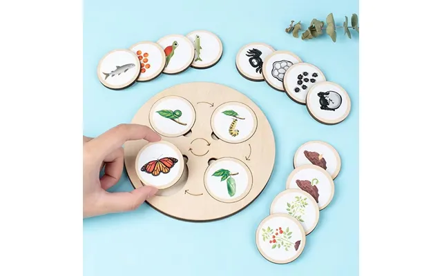 Kids Senhe Kids Toys Montessori Educational Wooden Toys Life Circle Board Children Early Education Montessori Teaching A