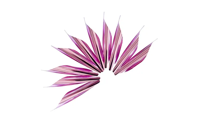 Linkboy Archery Spin Wing Vanes Fletch Archery Arrow Diy Tools Outdoor Shooting Training Accessories