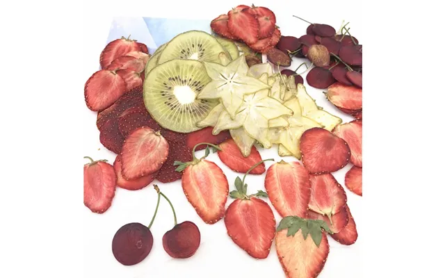 M072 Phone Case Wooden Frame Dry Press Flower Mini Fruit Slice Small Natural Handmade Dried Fruit Specimens Dried Presse