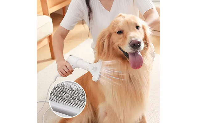 Pet Hair Dryer 2 In 1 Grooming Pet Brush Adjustable Temperature Dog Hair Dryer Pet Hair Remover Dog Brush For Dog Cat Br