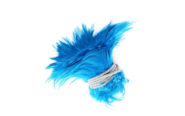 Wholesale 4-6'' Dyed White Natural Bleached Hackle Strung Rooster Neck Feathers For Fly Fishing Tying