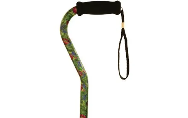 Alex Orthopedic Offset Handle Cane Canterbury