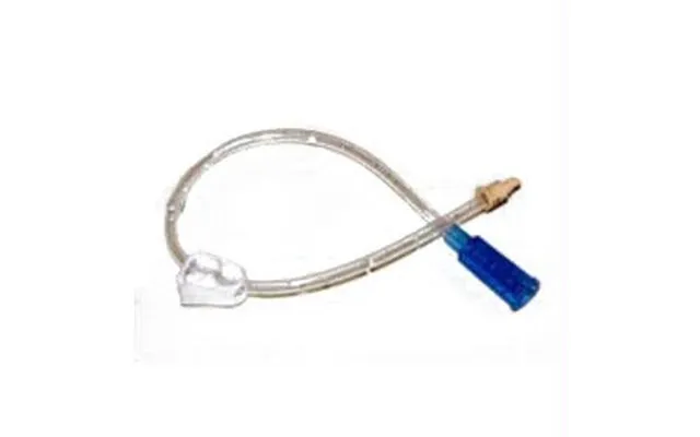 Amt Bolus Feeding Extension Set 12 L Straight Connector