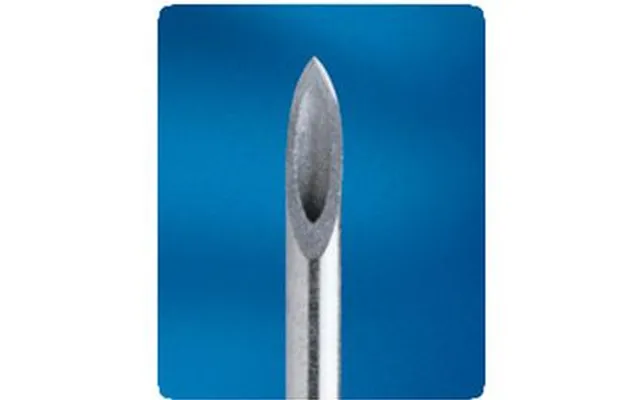 Bd Precisionglide Hypodermic Needle - Regular Bevel 21g X 2