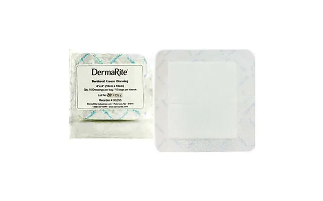 Gauze Wound Dressing With Adhesive Border - 4 X 4