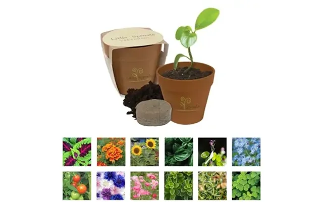 100 Custom Mini Bamboo Blossom Kit - Biodegradable & Eco-friendly