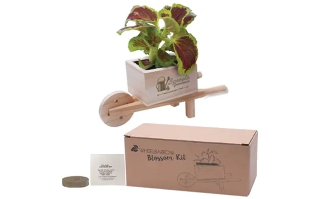 100 Custom Wooden Wheel Barrow Blossom Kit - Pine Construction