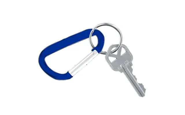 100 Customized Carabiner Keychain