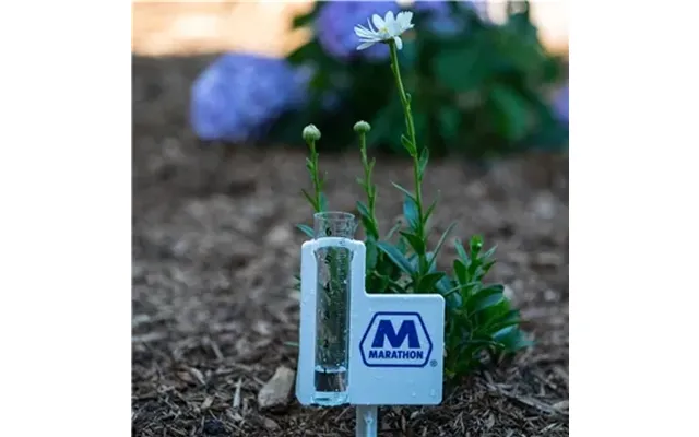 100 Customized Classic Jumbo Rain Gauge - 6 Inch Capacity