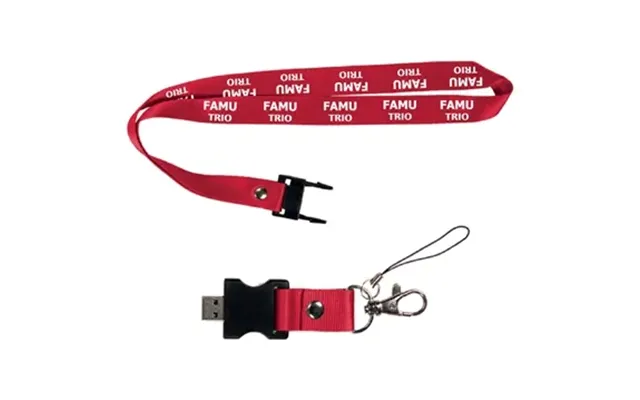100 Promotional Berkeley Custom Printed Lanyard & Usb Flash Drive