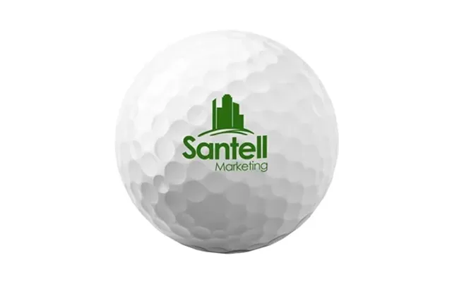 12 Custom Titleist Pro V1 Golf Ball Std Serv - Tour Performance & 