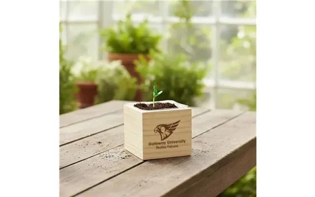 125 Promotional Wooden Cube Grow Kit
