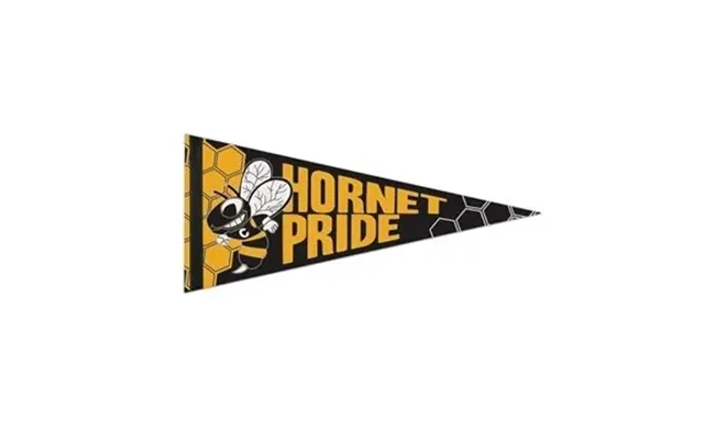25 Custom 8 X 18 Premium Felt Pennant - With 1 Sewn Strip