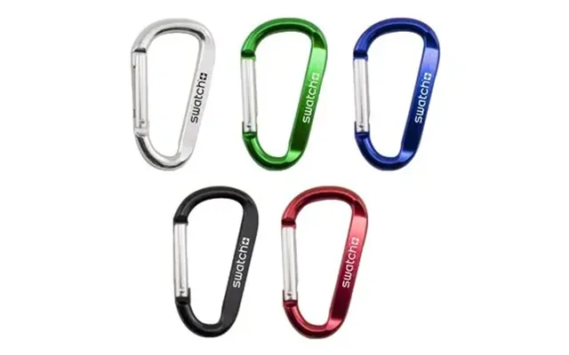 250 Promotional Carabiner Clip Keychain - Aluminum