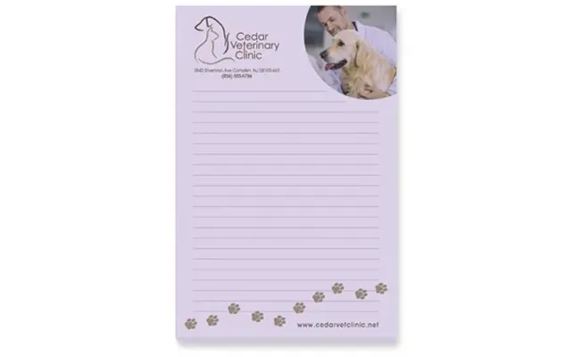 250 Promotional Souvenir Sticky Note 4 X 6 Pad - 50 Sheet