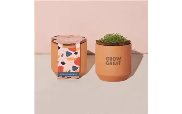 30 Customized Modern Sprout Tiny Terracotta Grow Kit Champagne