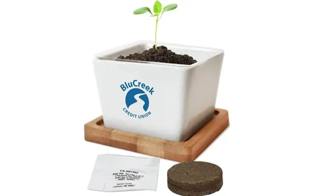 48 Custom Ceramic Planter - Bamboo Base & Growing Kit
