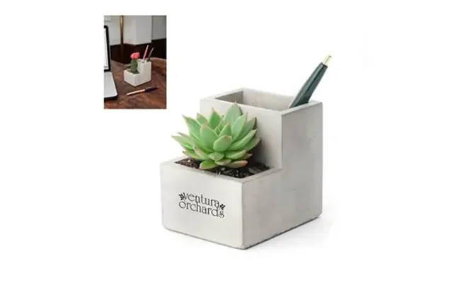 50 Promotional Kikkerland Small Concrete Desk Planter - Felt Feet