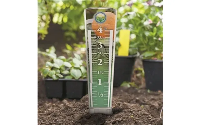 50 Promotional Magnifying Rain Gauge - 12 1 2 H