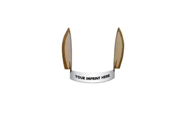500 Promotional Donkey Ears - Paper Products
