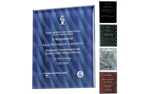 6 Customized Trillinnium Award Plaque - 8 X 10